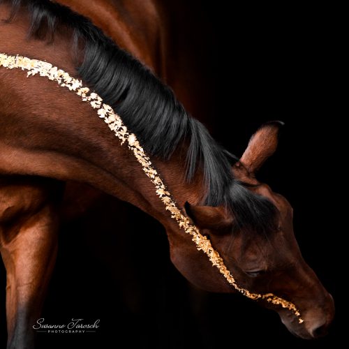 Glamour – separates Shooting